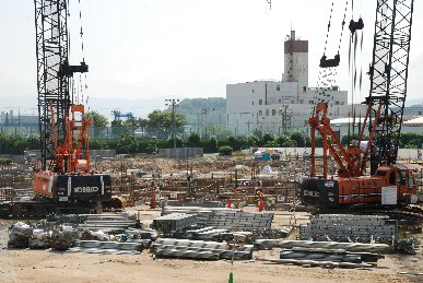 �U���Q�X���H���ʐ^3