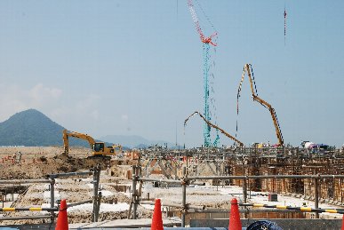 �U���Q�X���H���ʐ^4