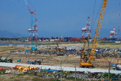 �U���Q�X���H���ʐ^5