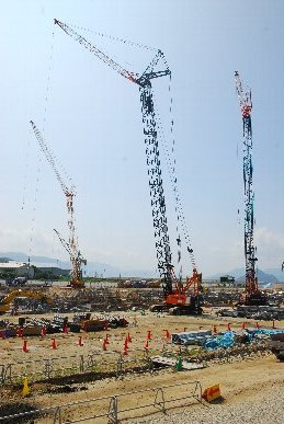 �U���Q�X���H���ʐ^8