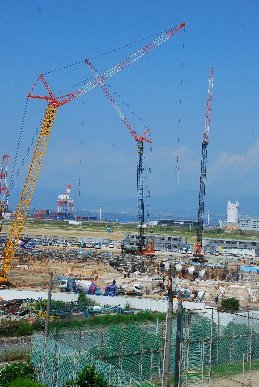 �U���Q�X���H���ʐ^9