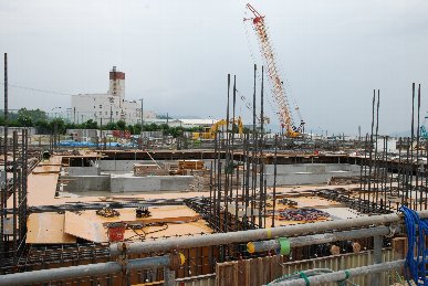 �V���R�P���H���ʐ^�P