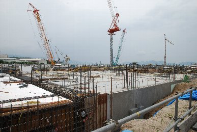 �V���R�P���H���ʐ^2