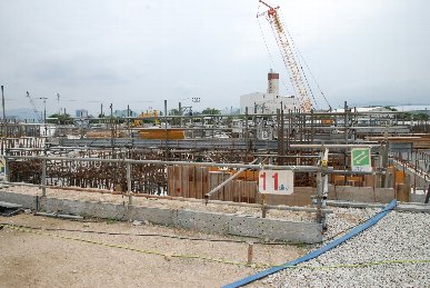 �V���R�P���H���ʐ^3