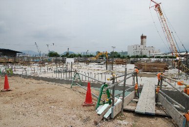 �V���R�P���H���ʐ^4