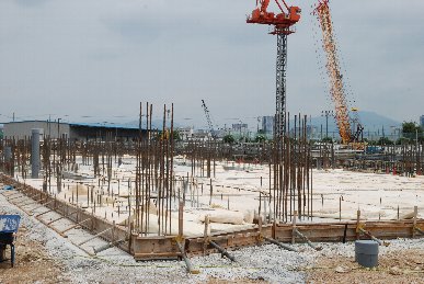 �V���R�P���H���ʐ^6