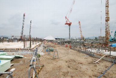 �V���R�P���H���ʐ^8