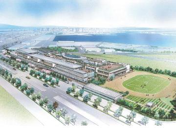 �V�����w�Z�P